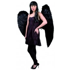כנפי מלאך שחורות 120 ס