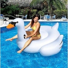 big swan inflatable