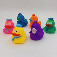 ducks new