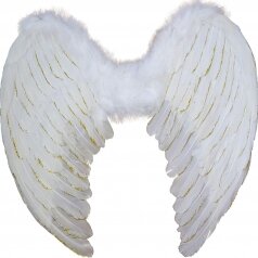 כנפי מלאך (65סמ על 45סמ) לבנים