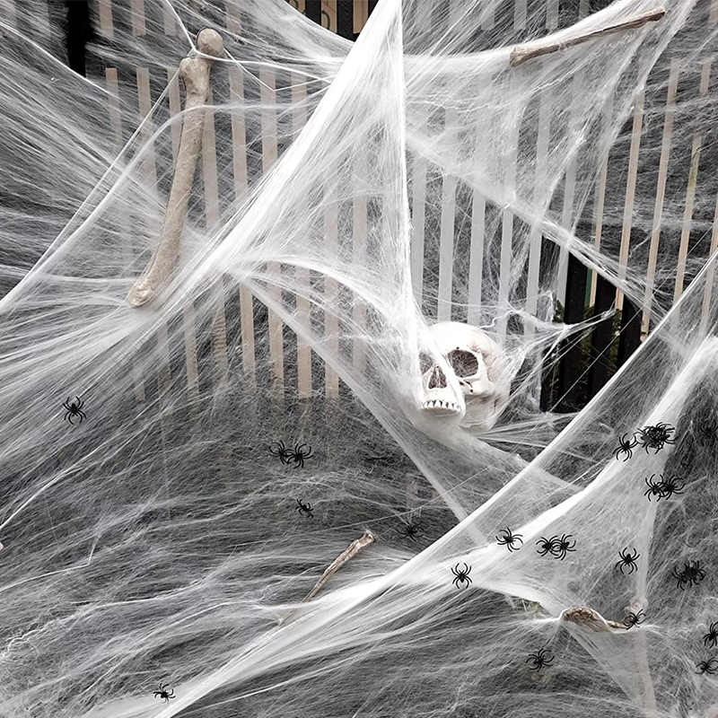 חבילת קורי עכביש עם 20 עכבישים