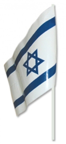 דגל ישראל אחיזה