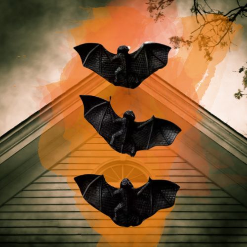 3 עטלפים להלווין